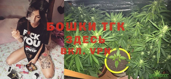 ПСИЛОЦИБИНОВЫЕ ГРИБЫ Армянск